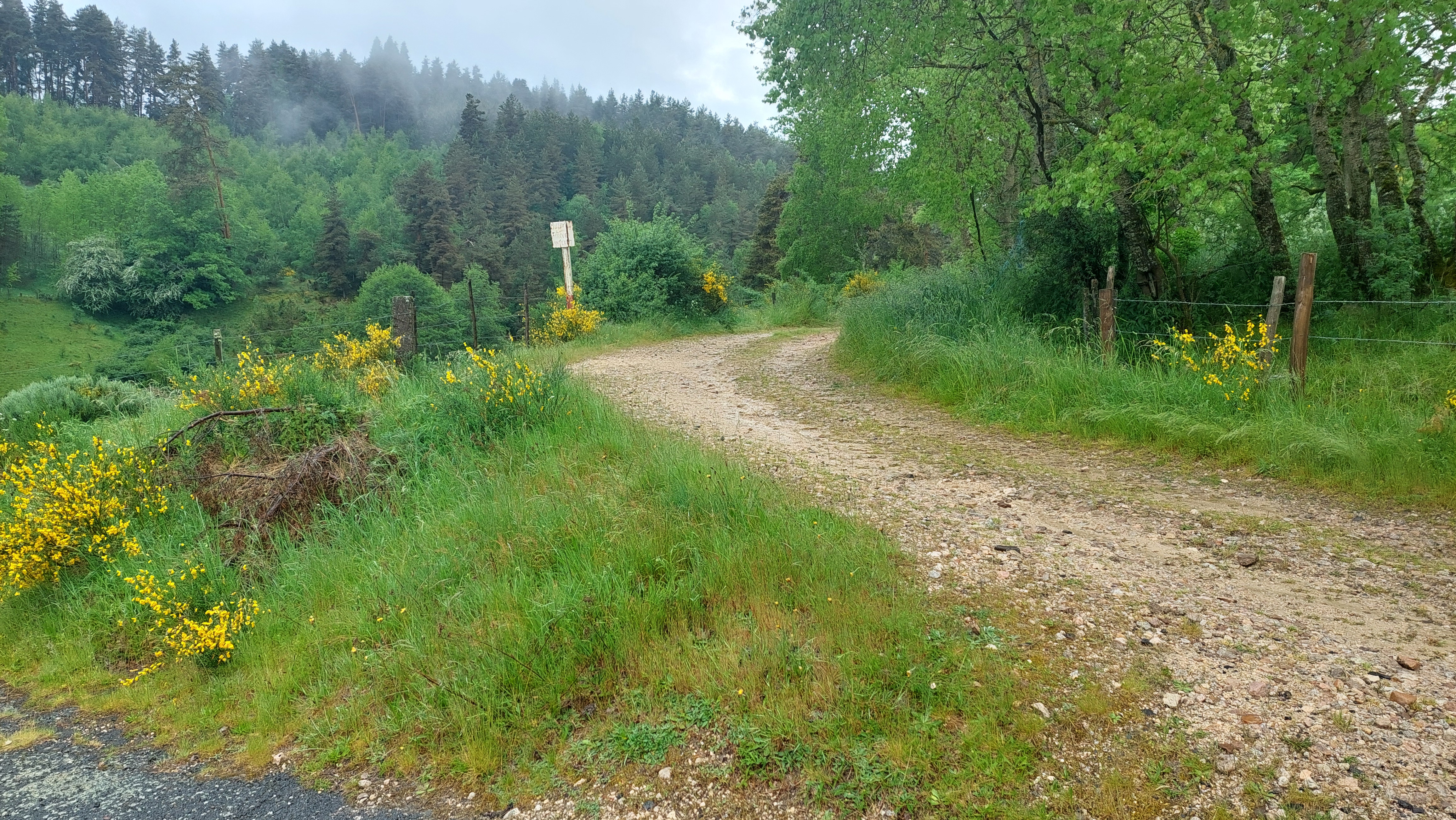 Chemin