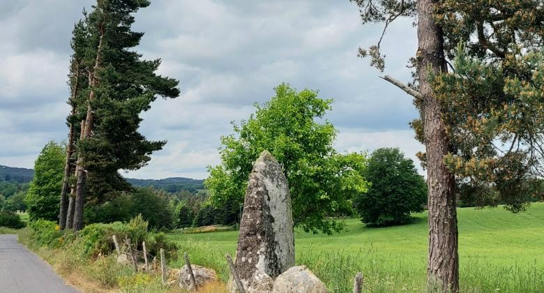 Randonnée proche du Malzieu-Ville : Mazeyrac et le menhir de "pindjo chabre"
