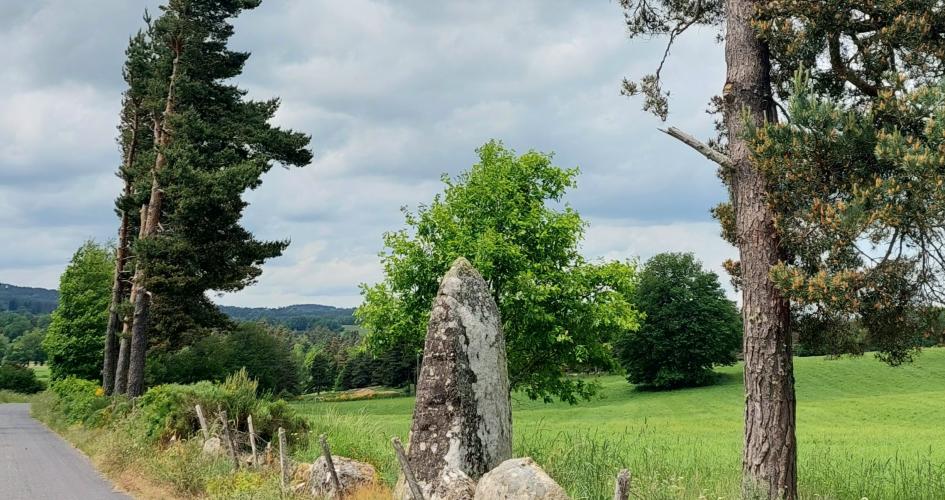 Randonnée proche du Malzieu-Ville : Mazeyrac et le menhir de "pindjo chabre"